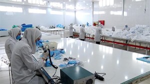 کسب و کار دانش بنیان