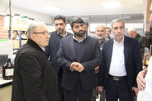 کسب و کار دانش بنیان