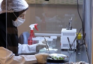 کسب و کار دانش بنیان