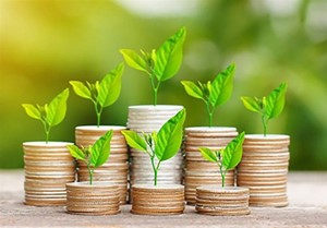 کسب و کار دانش بنیان